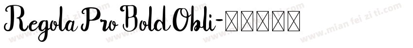 Regola Pro Bold Obli字体转换